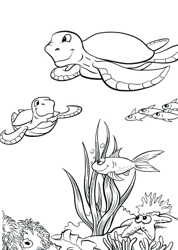 728x1021 Coloring Pages Of Sea Turtles Green Sea Turtle Coloring Page