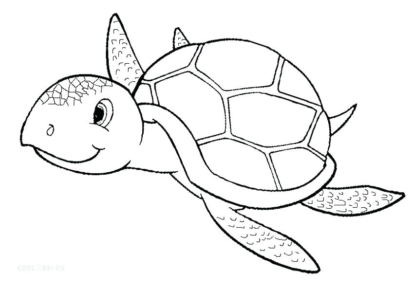 850x594 Coloring Pages Of Sea Turtles The Latest Tips And News On Sea