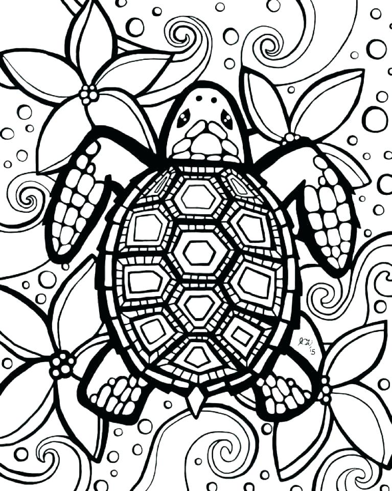 767x960 Coloring Pages Turtle Coloring Pages Of Baby Sea Turtles