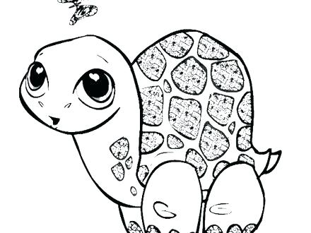 440x330 Sea Turtles Coloring Pages Sea Turtle Coloring Page Or Baby Sea