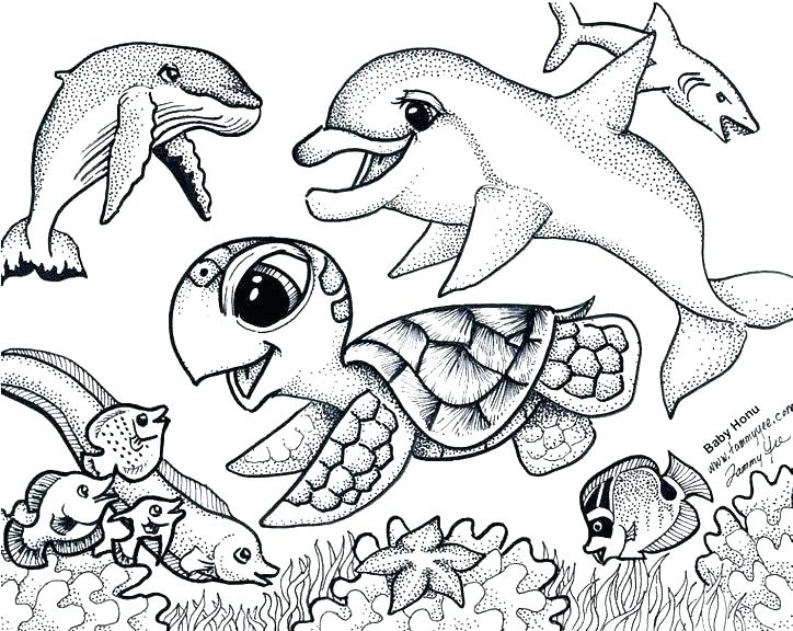 724x576 Turtle Coloring Pages Great Sea Turtle Coloring Page Perfect