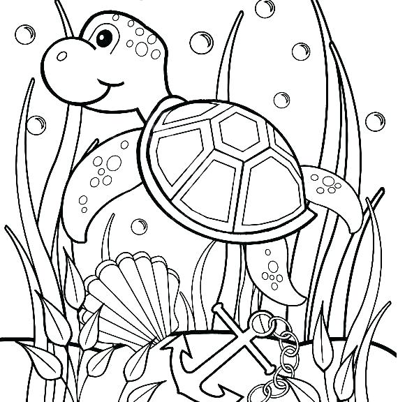 570x576 Underwater Coloring Pages Turtles Coloring Pages Baby Sea Turtle