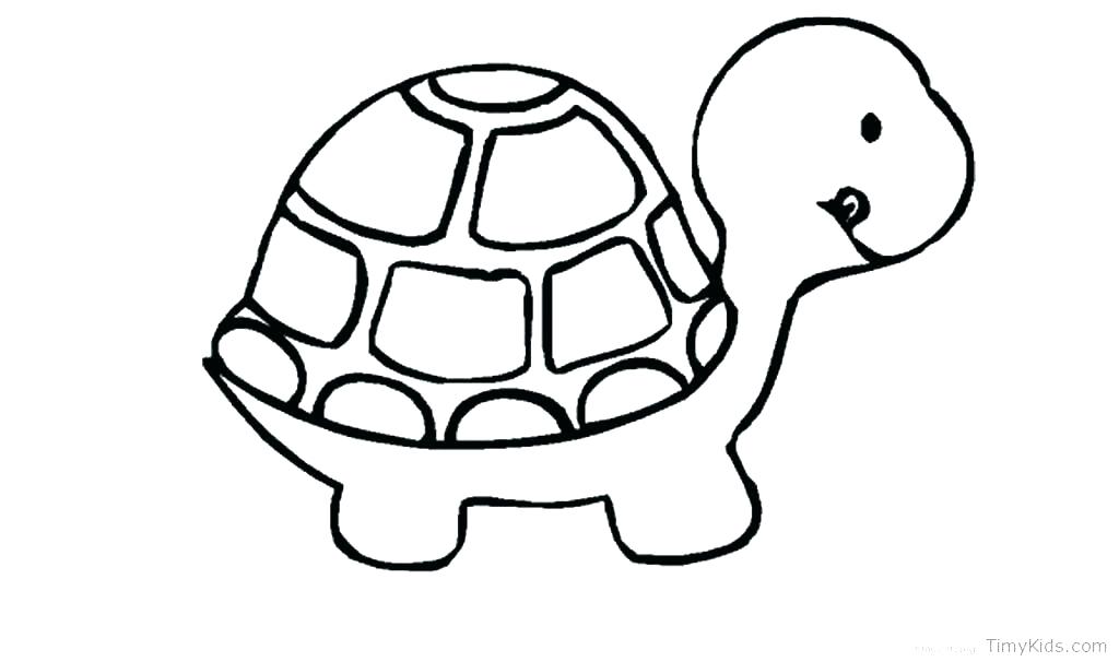 Baby Sea Turtle Coloring Pages at GetDrawings | Free download