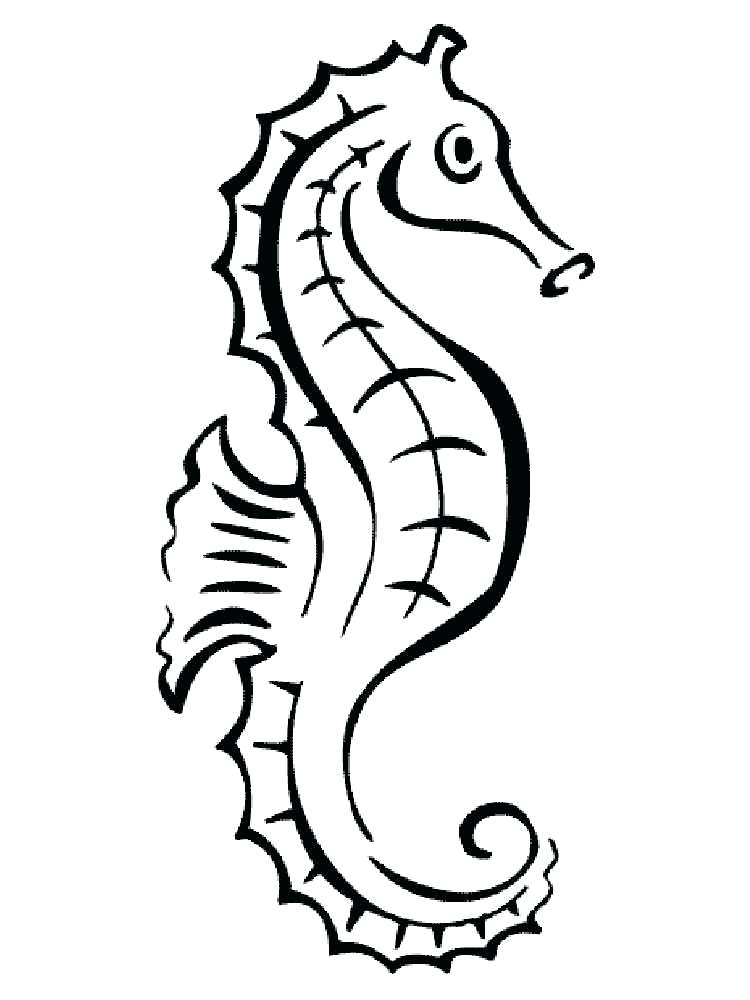 750x1000 Sea Horse Coloring Page Seahorse Coloring Pages Baby Seahorse