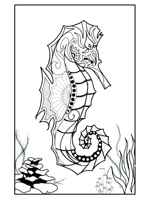 480x640 Sea Horse Coloring Pages Best Of Seahorse Coloring Page