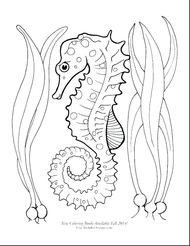 618x800 Very Hungry Caterpillar Coloring Pages The Very Hungry Caterpillar