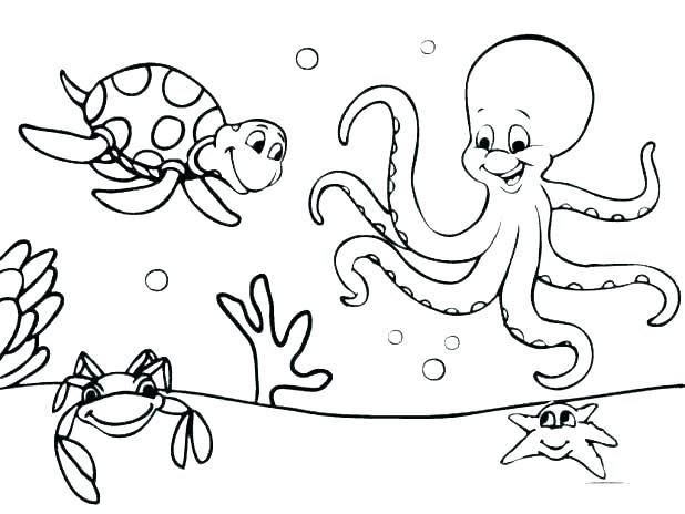 618x464 Seahorse Coloring Page