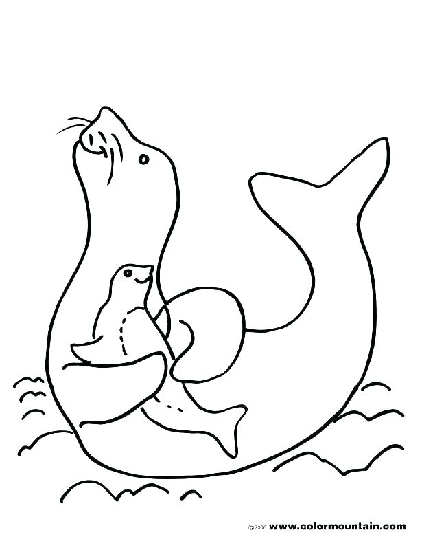 615x784 Seal Coloring Pages Seals Coloring Pages Seal Coloring Pages Baby