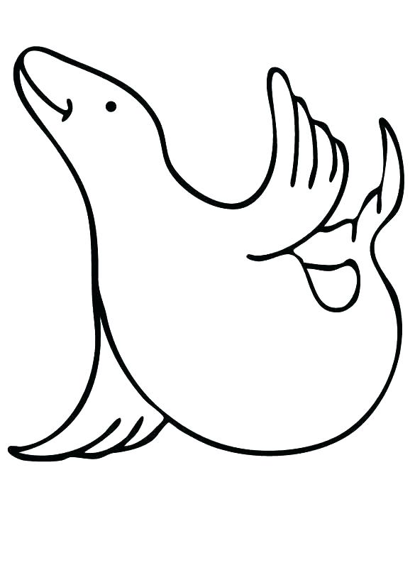 585x817 Seal Coloring Pages
