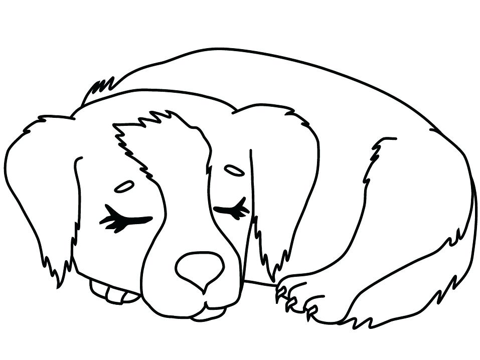 957x718 Baby Seal Coloring Pages Seal Coloring Pages Leopard Seal Coloring