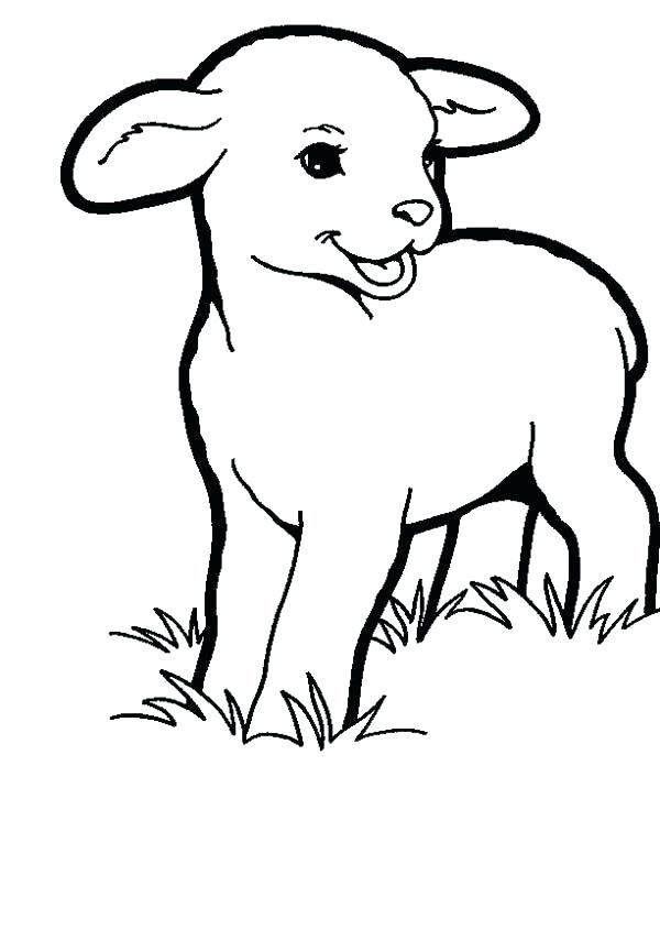 600x845 Lamb Coloring Pictures Printable Coloring Page For Kids Of A Baby
