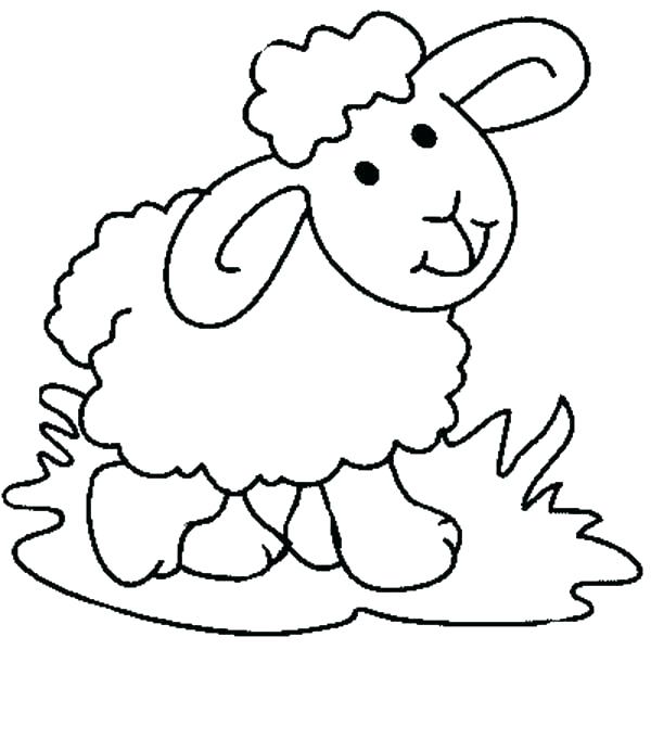 600x681 Sheep Coloring Page Sheep Coloring Picture Baby Sheep Coloring