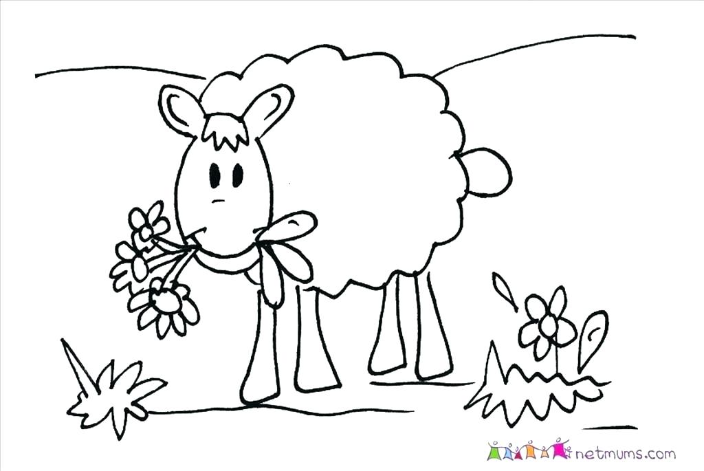 1024x685 Baby Sheep Coloring Pages Cute Sheep Coloring Page Free Printable