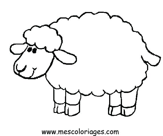 572x477 Baby Sheep Coloring Pages Sheep Coloring Pages To Excite Kids Baby