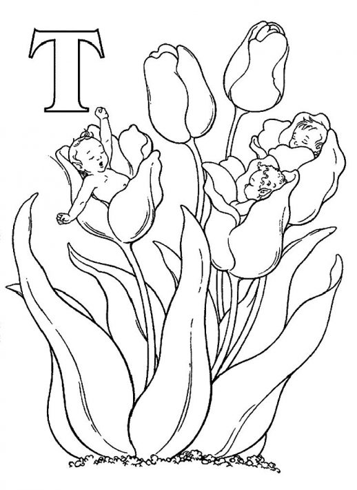 518x710 Elf Babies Sleeping Around Flowers And Letter T Coloring Pages