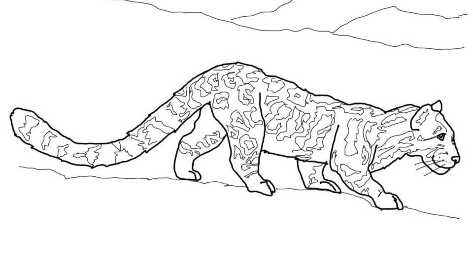 960x544 Excellent Baby Leopardoring Pages For Kidsouring Snow Babies