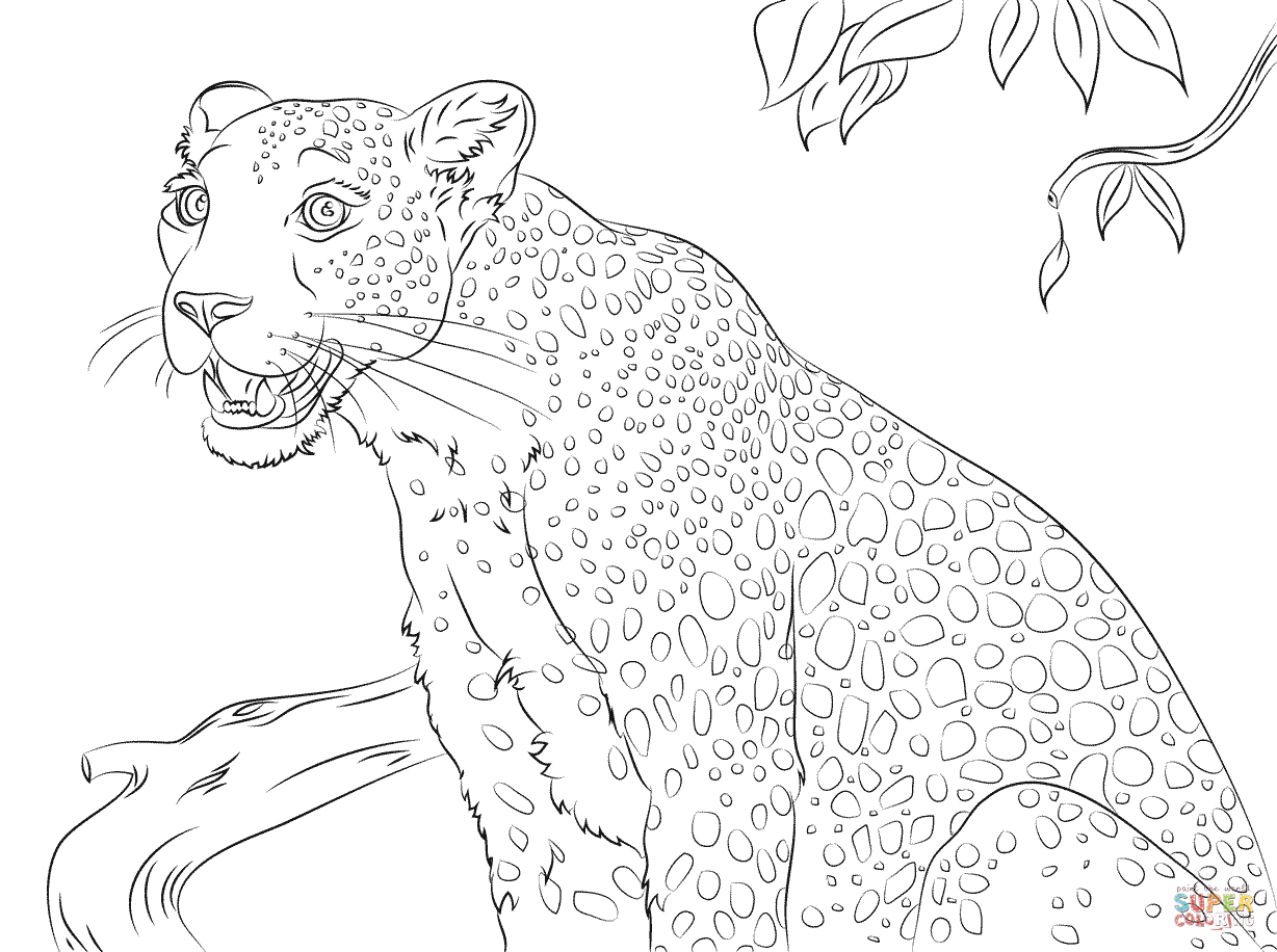 1228x916 Leopard Coloring Pages