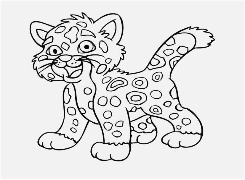 827x609 Leopard Coloring Pages Pics Baby Tiger Coloring Pages