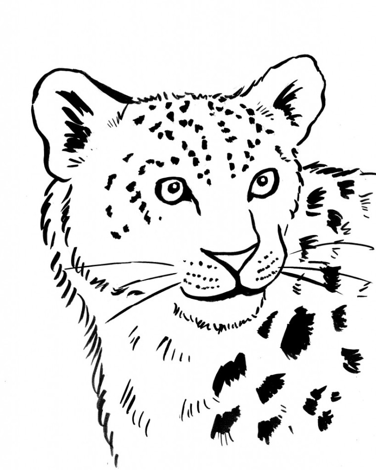 760x950 Snow Leopard Coloring Pages Get Bubbles