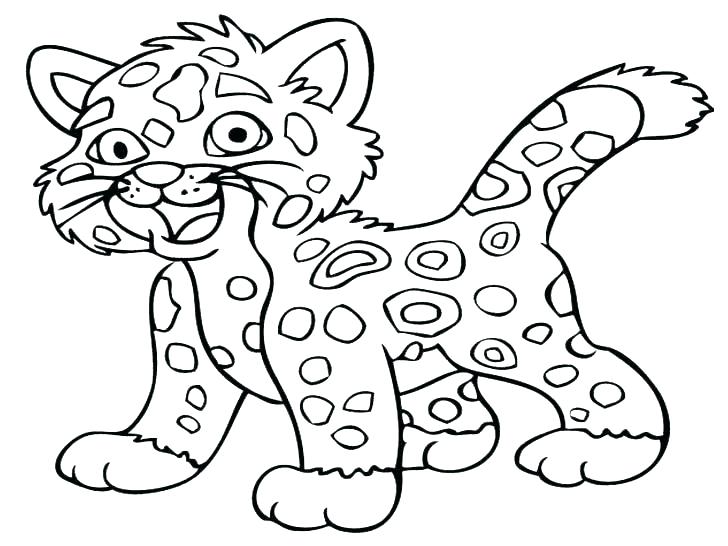 728x546 Snow Leopard Coloring Pages Baby Leopard Colouring Pages Snow