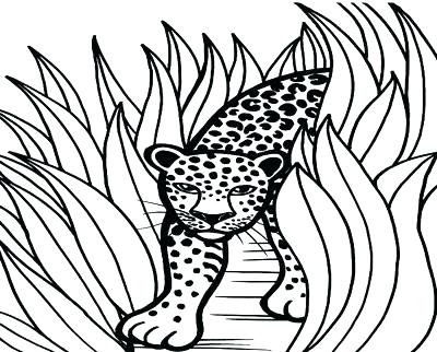 400x322 Snow Leopard Coloring Pages