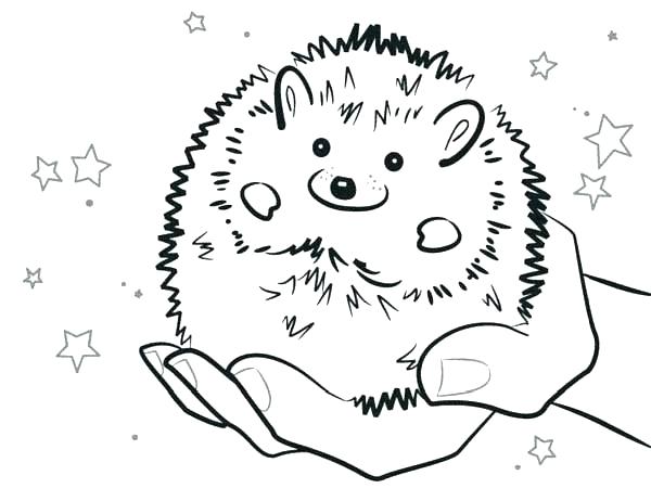 600x462 Sonic Hedgehog Coloring Page Sonic Coloring Page Sonic