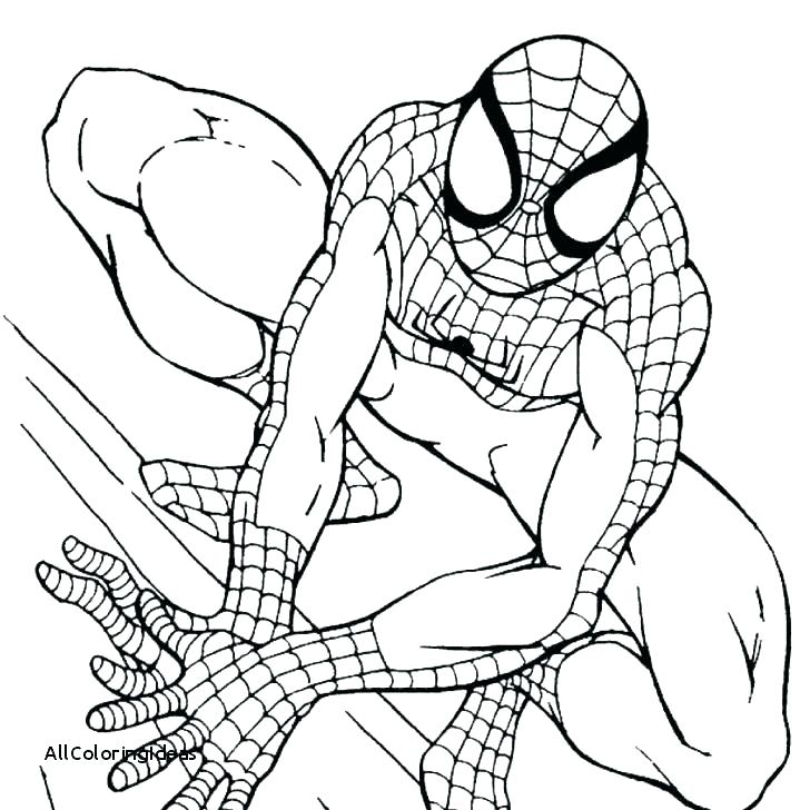 728x728 Free Spiderman Printables Free Coloring Sheets Color Pages