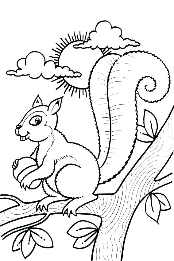 567x850 Coloring Pages Of Squirrels Baby Squirrel Coloring Pages Free