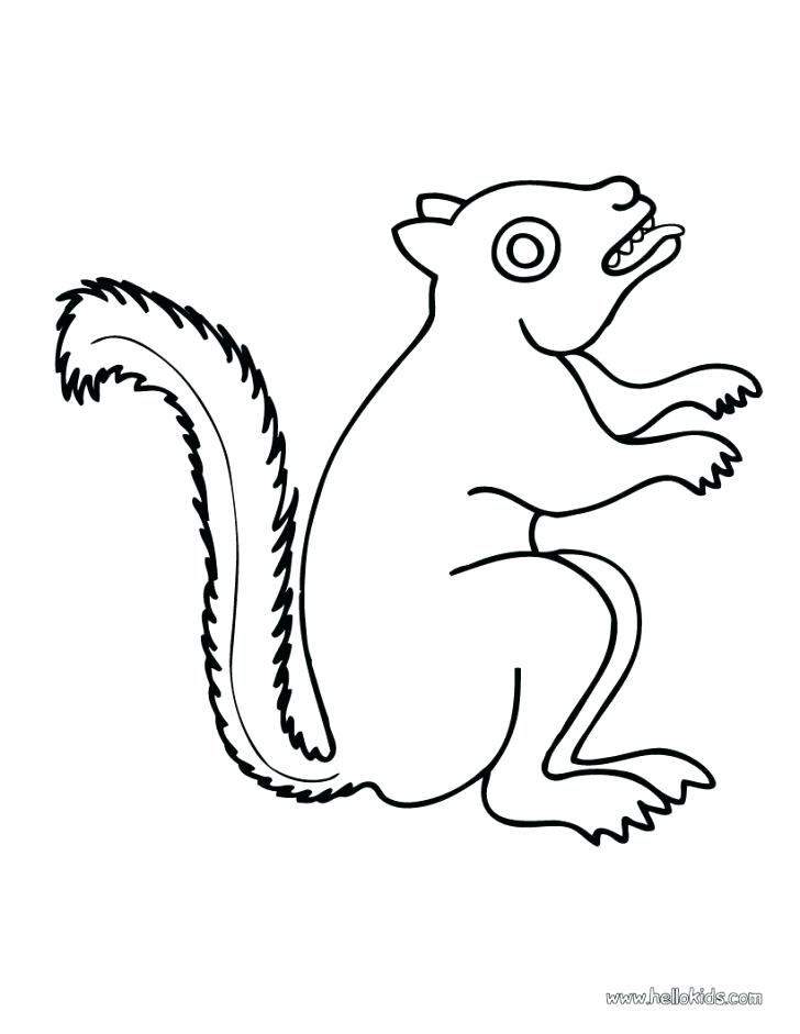 728x941 Coloring Pages Of Squirrels Drawing A Squirrel Coloring Page