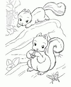 236x289 Wild Animal Coloring Pages Squirrel Family Coloring Page
