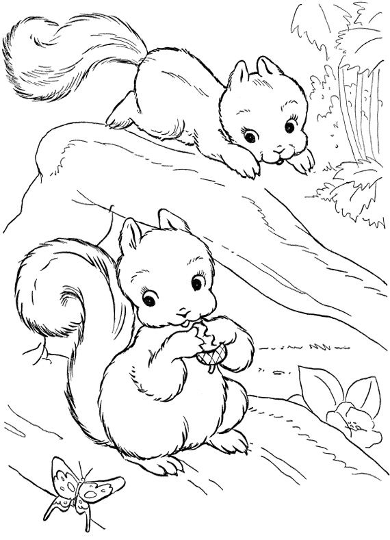 570x789 Baby Squirrel Coloring Pages Pattern Design Ideas