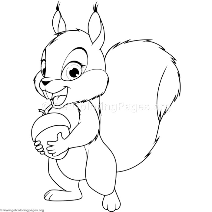 700x700 Baby Squirrel Coloring Pages