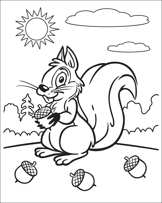640x800 Beautiful Baby Squirrel Coloring Pages For Your Desktop Lovebird