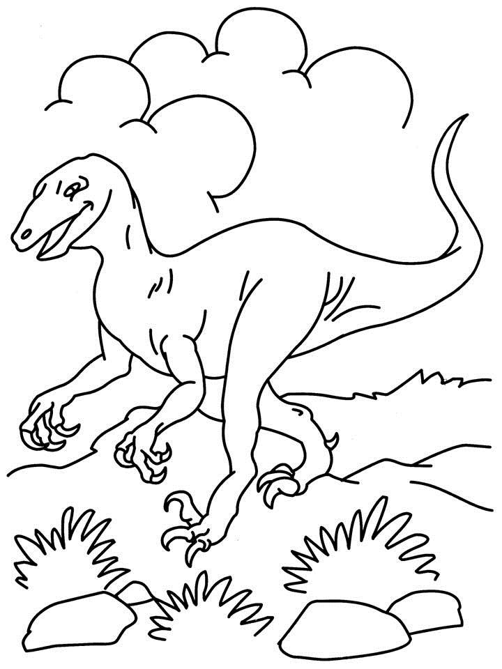 720x960 T Rex Coloring Pages