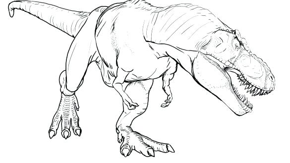 585x329 Trex Coloring Page Coloring Page Pages Best For Kids Baby T Rex