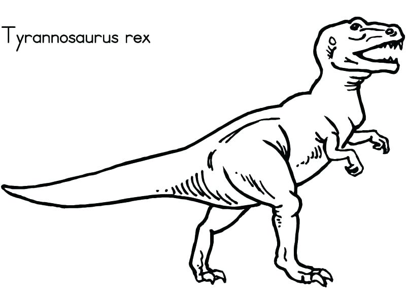 800x600 Trex Coloring Page T Coloring Page T Coloring Page Baby T Coloring