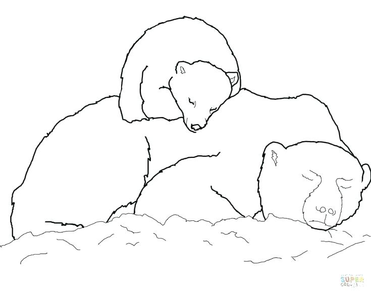 735x583 Bear Cub Coloring Pages Cute Bear Coloring Pages Pooh Bear