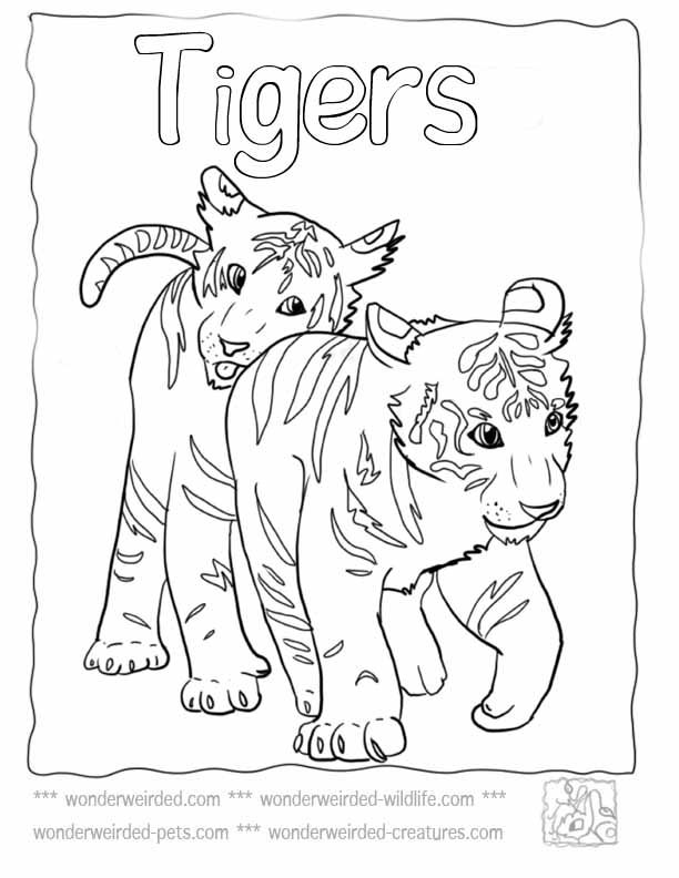 612x792 Baby Tiger Coloring Pages