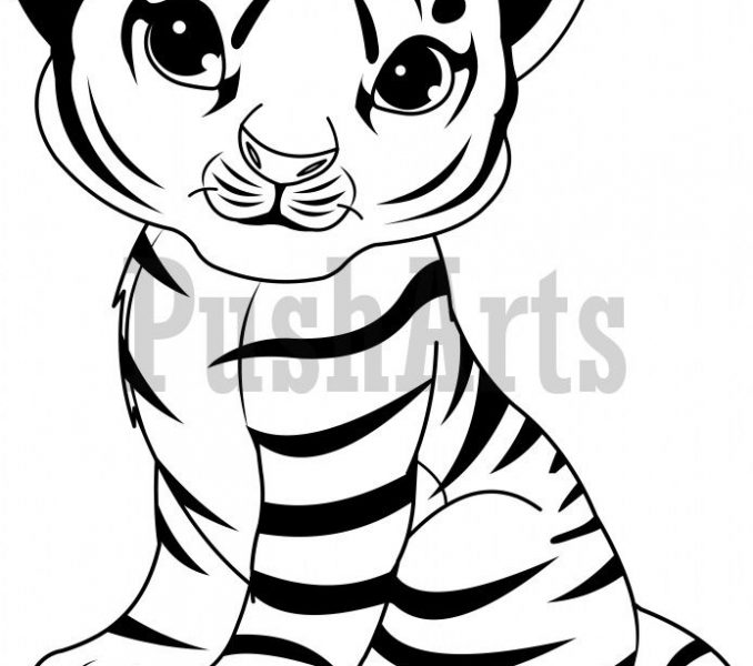 678x600 Baby Tiger Coloring Pages Children Ba Tiger Coloring Pages