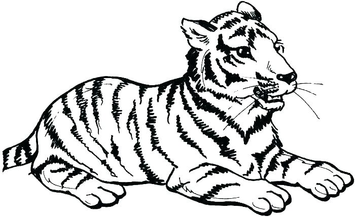 700x428 Baby Tiger Coloring Pages Baby Tiger Coloring Pages Coloring Pages