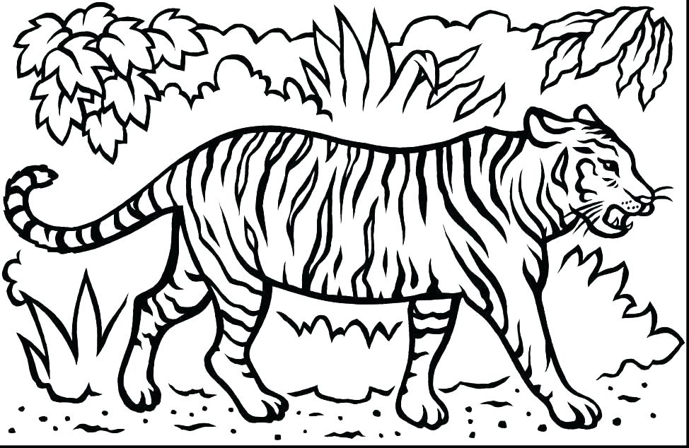 974x634 Tigger Coloring Pages Baby Coloring Pages Baby Coloring Disney