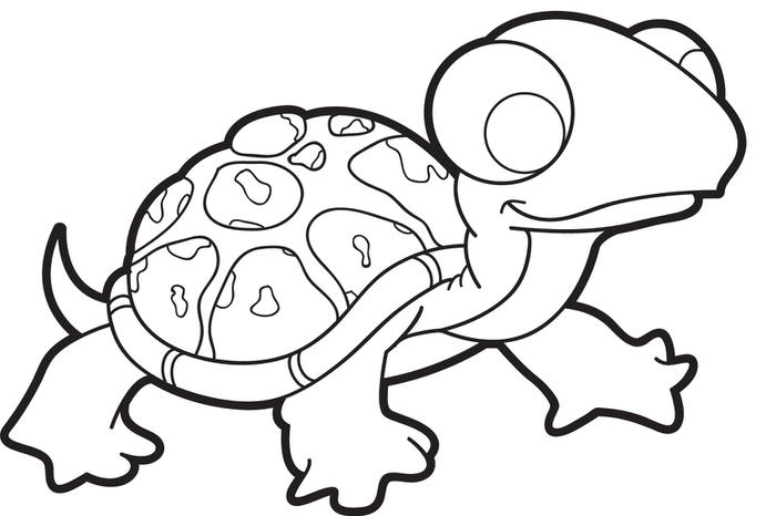 700x466 Cute Turtle Coloring Pages