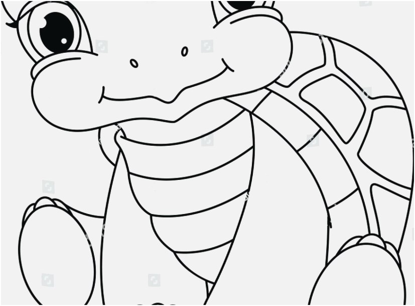 827x609 Turtle Coloring Pages Pics Baby Turtle Coloring Pages To Print