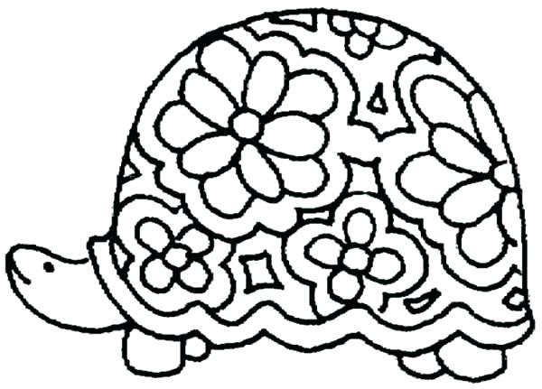 600x431 Baby Turtle Coloring Pages