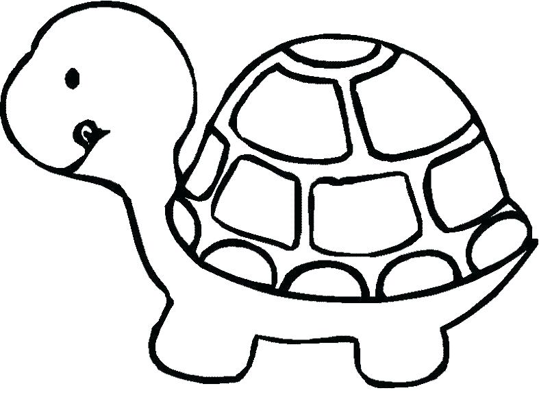 787x579 Baby Turtle Drawing Free Coloring Turtle Coloring Pictures