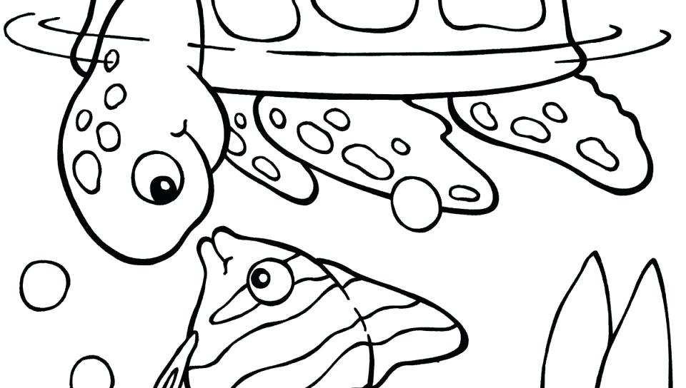 960x544 Big Head Small Body Tortoise Turtle Coloring Page Free Printable