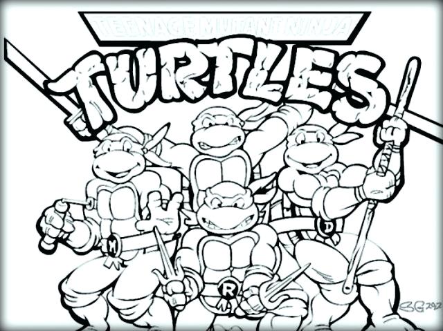 640x479 Coloring Pages Of A Turtle Turtle Coloring Book Page Top Ninja