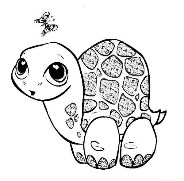 600x590 Cute Baby Turtle Coloring Pages Kids Coloring Pages