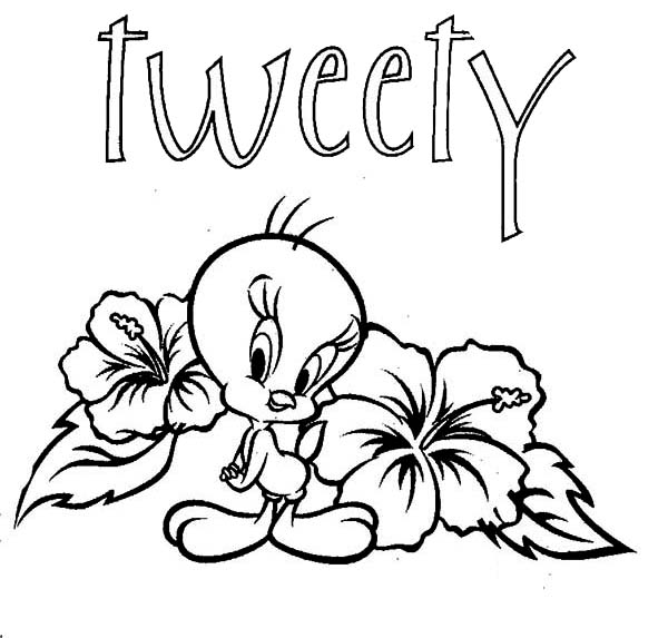 600x573 Wonderful Looking Tweety Bird Coloring Pages Baby Of Printable