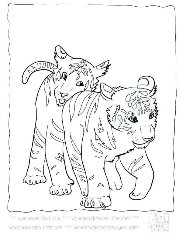 612x792 Footprint Coloring Page Baby Tiger Coloring Pages Free Coloring